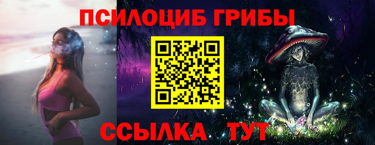 Псилоцибиновые грибы Cubensis  Вход с VPN  где найти   Артёмовский 